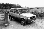 Fiat Panda 4x4 1983 года (UK)